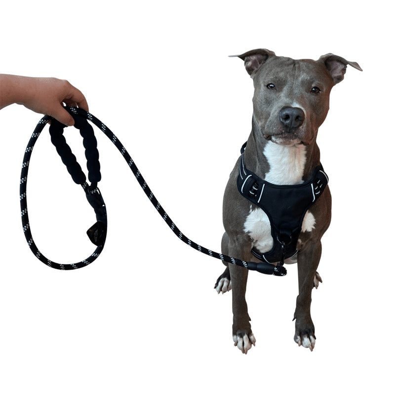 No-Pull Dog Harness Oxford Nylon | Reflective Chest & Back Clips with Metal D-Rings | Adjustable Fit for Large Dogs 2