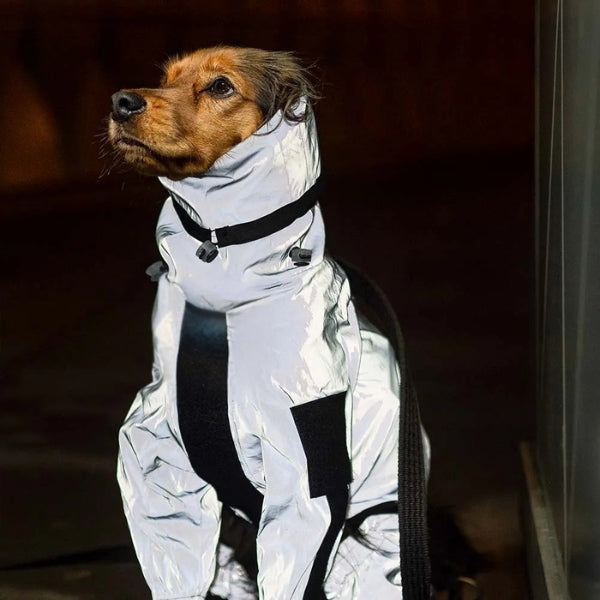 Dog Rain Coat with Legs, Waterproof Polyester | 5 Sizes Pug to Mastiff | Reflective All-Weather Protection & UV Safety 6
