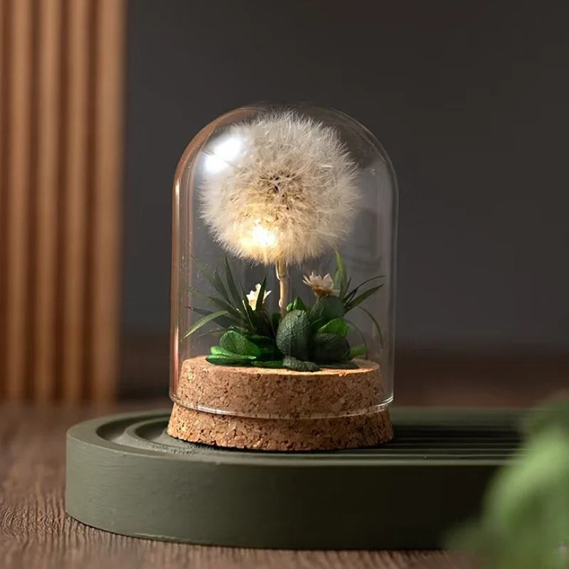 Preserved Flower Glass Dome Night Light | Dried Rose, Dandelion or Poppy-Pinecone Design | Warm White Ambient Glow 5