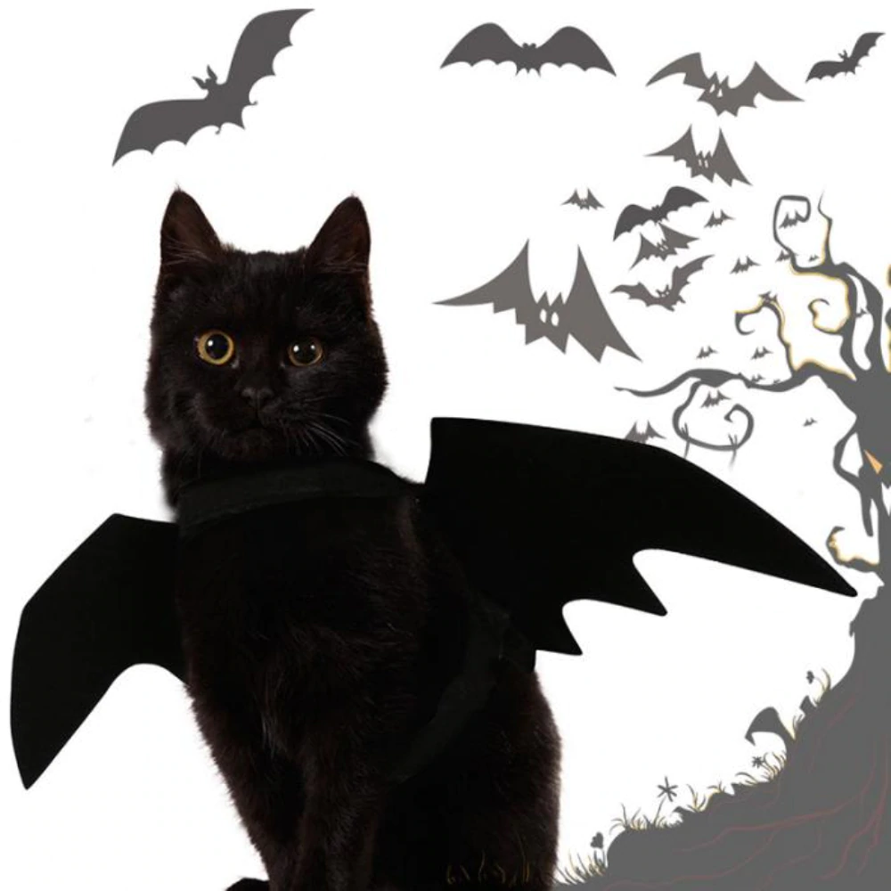 Bat Wings Pet Costume for Halloween | Adjustable Strap, Velcro Fit | Leash Buckle for Walks, Photo-Ready Accessory 3