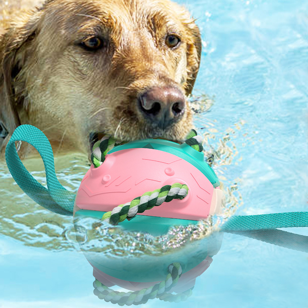 Bouncing Frisbee Ball Interactive Dog Toy | Converts to Ball in Seconds | Cotton Rope Chew Boosts Oral Health and Grip 6