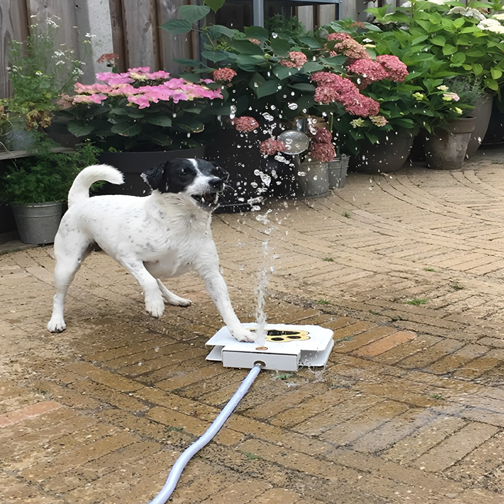 Dog Water Fountain Paw-Activated | Hose Connect Outdoor Sprinkler | Water-Saving, No Electricity, Safe Garden Design 2