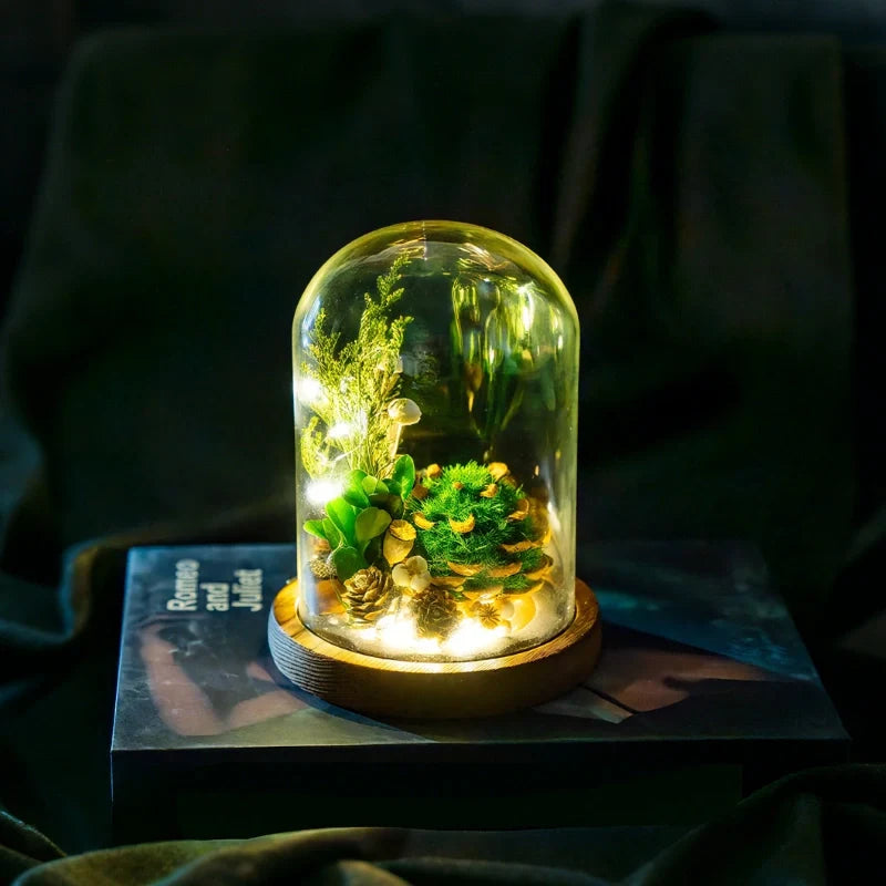 Preserved Flower Glass Dome Night Light | Dried Rose, Dandelion or Poppy-Pinecone Design | Warm White Ambient Glow 15