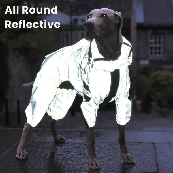 Dog Rain Coat with Legs, Waterproof Polyester | 5 Sizes Pug to Mastiff | Reflective All-Weather Protection & UV Safety 12