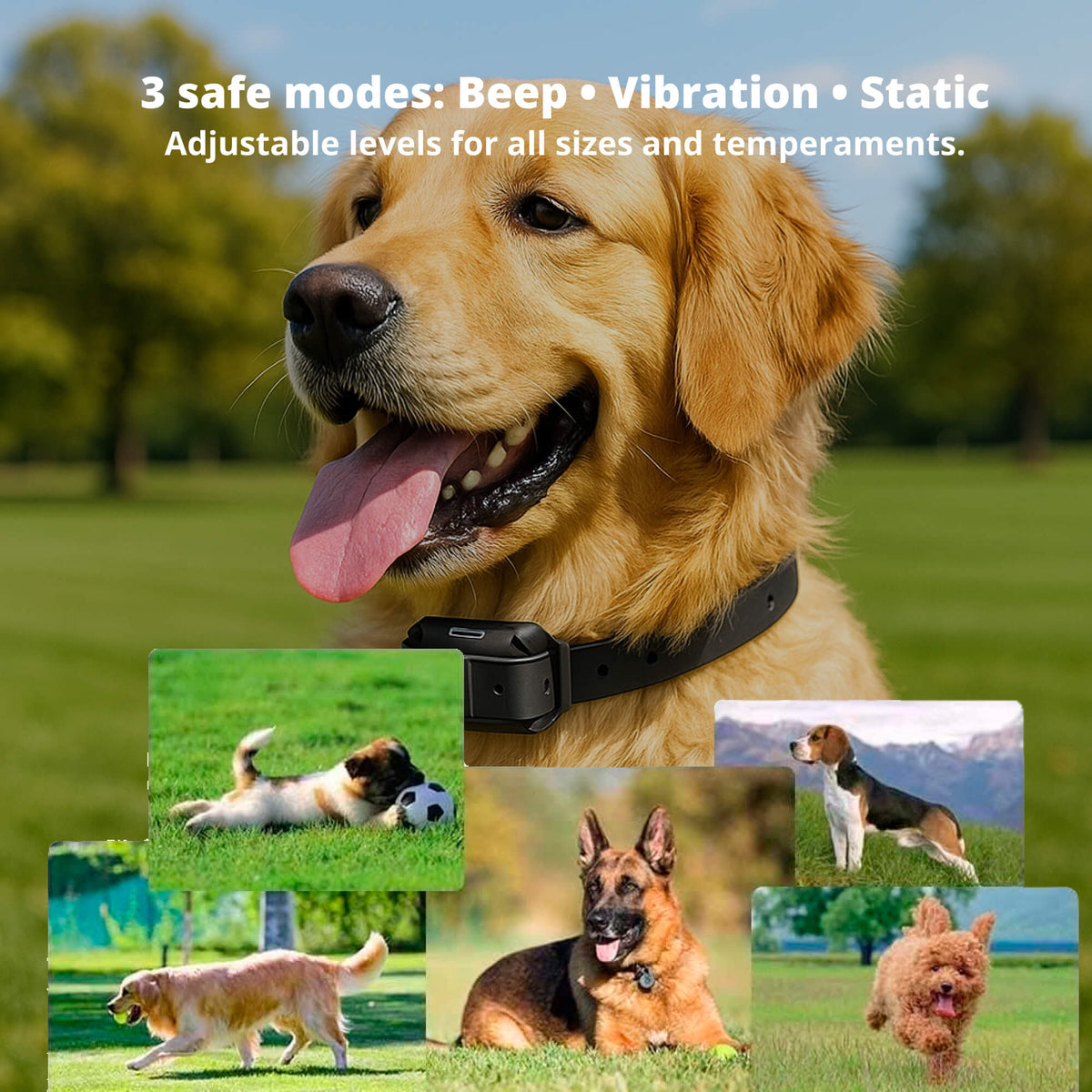 Rechargeable Dog Training Collar | Waterproof with Long-Range Remote Control | Adjustable Beep, Vibration & Static Modes 4
