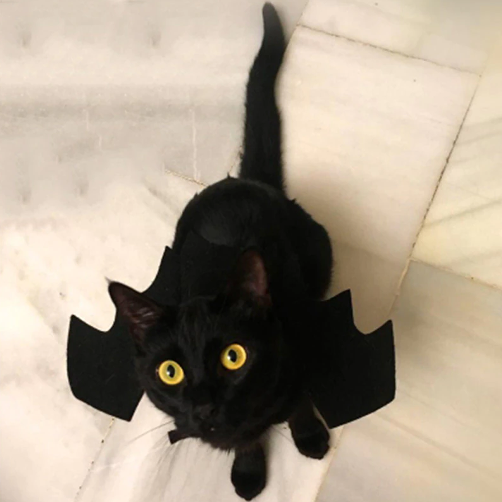 Bat Wings Pet Costume for Halloween | Adjustable Strap, Velcro Fit | Leash Buckle for Walks, Photo-Ready Accessory