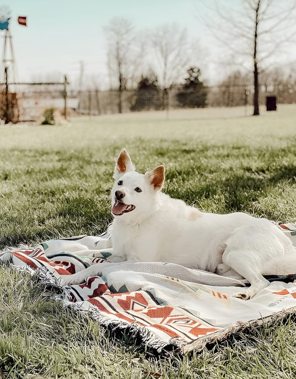 BohoVibe | Picnic Mat – Reversible Durable Cotton Blend, 150x200 cm