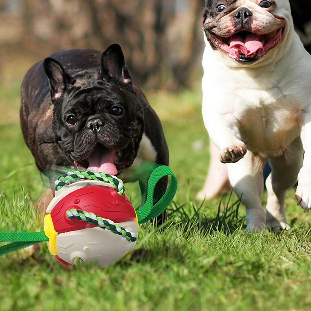 Bouncing Frisbee Ball Interactive Dog Toy | Converts to Ball in Seconds | Cotton Rope Chew Boosts Oral Health and Grip
