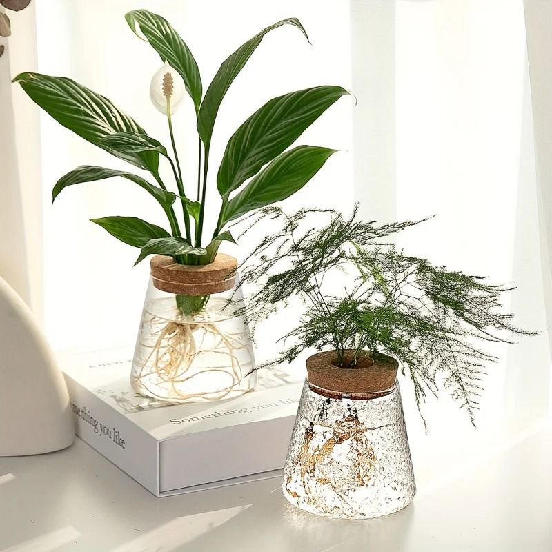 Glass Propagation Station Vase Rack | Wooden Stand for Hydroponic Plant Cuttings | Tabletop Desk Decoration Piece