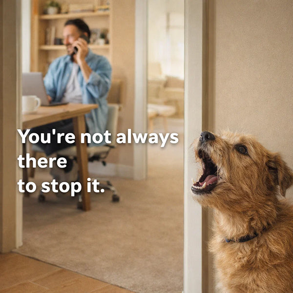 Hands-Free Automatic Bark Control | Continuous Ultrasonic Silencer for Day & Night Home Use 4