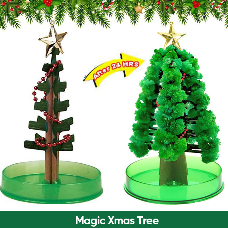 Magic Growing Christmas Tree Novelty Kit | Grows Paper Foliage in 24 Hours | Fun Christmas Activity for Kids and Adults