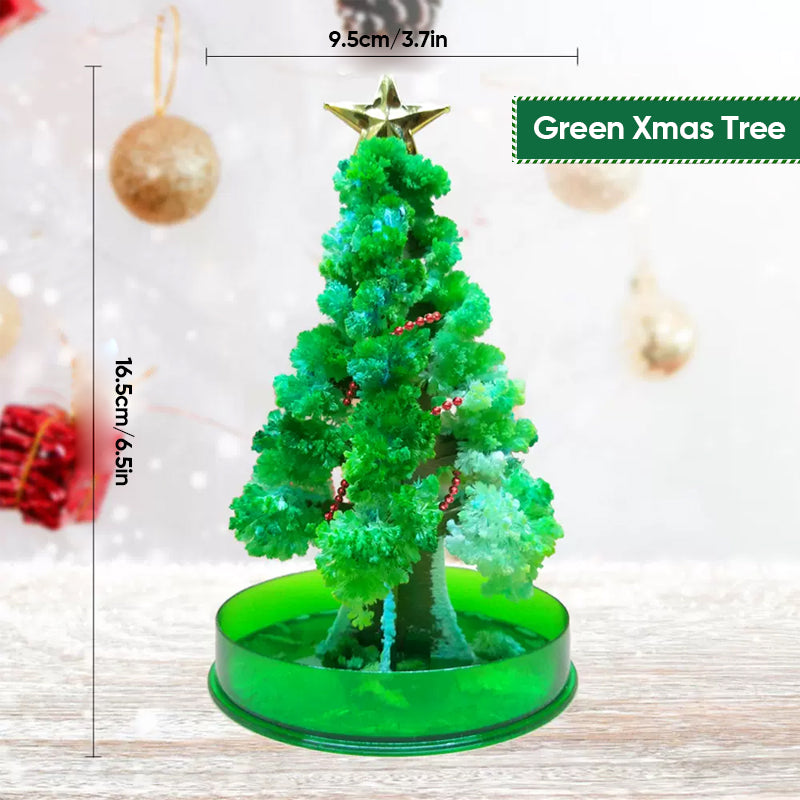 Magic Growing Christmas Tree Novelty Kit | Grows Paper Foliage in 24 Hours | Fun Christmas Activity for Kids and Adults