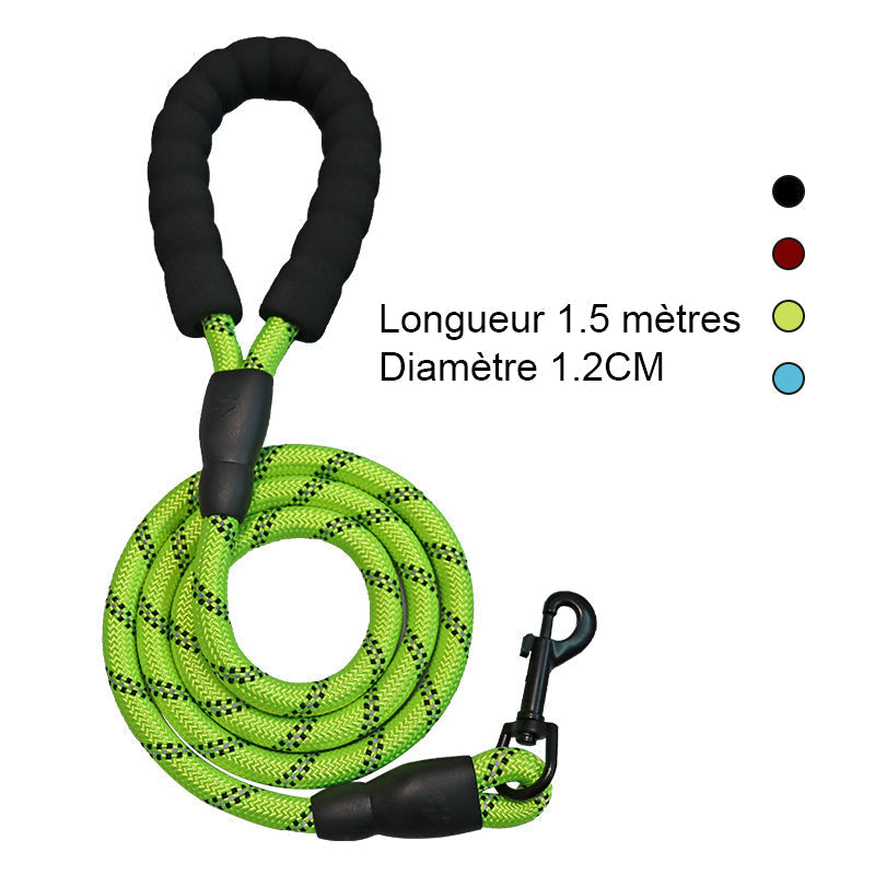 No-Pull Dog Harness Reflective Adjustable Breathable with Metal D-Rings