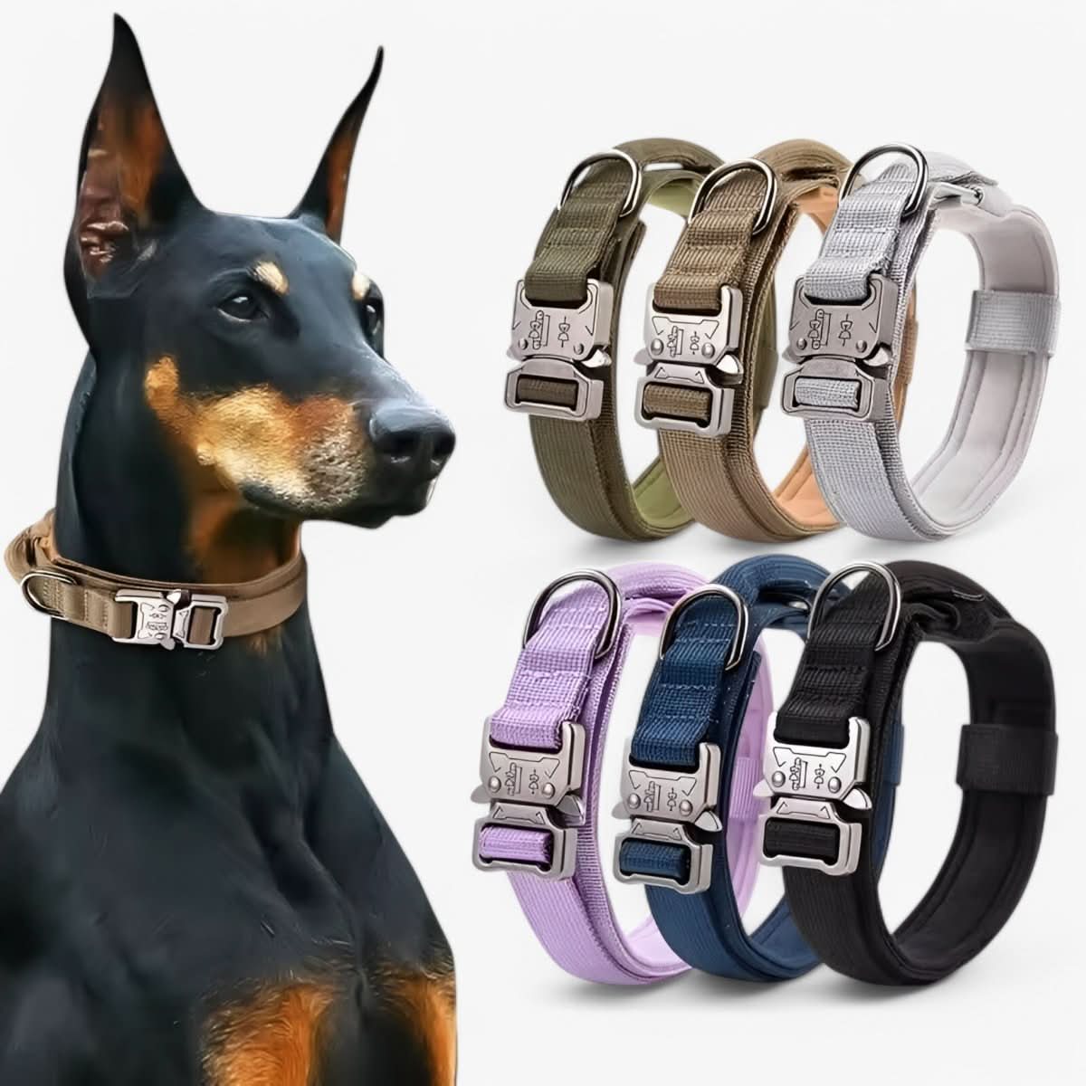 Nylon Dog Collar – Black, Sturdy Design for Medium and Large Dogs During Walks and Training Sessions 4