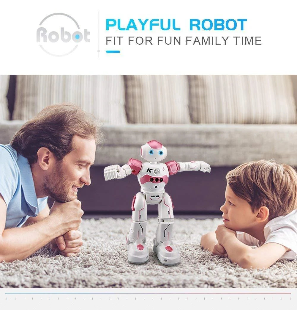 Remote Control Robot 2