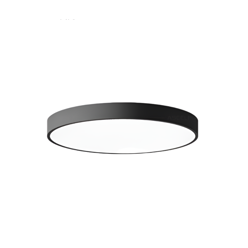 Modern Minimalist Round LED Ceiling Light 1-Light Lasson Living