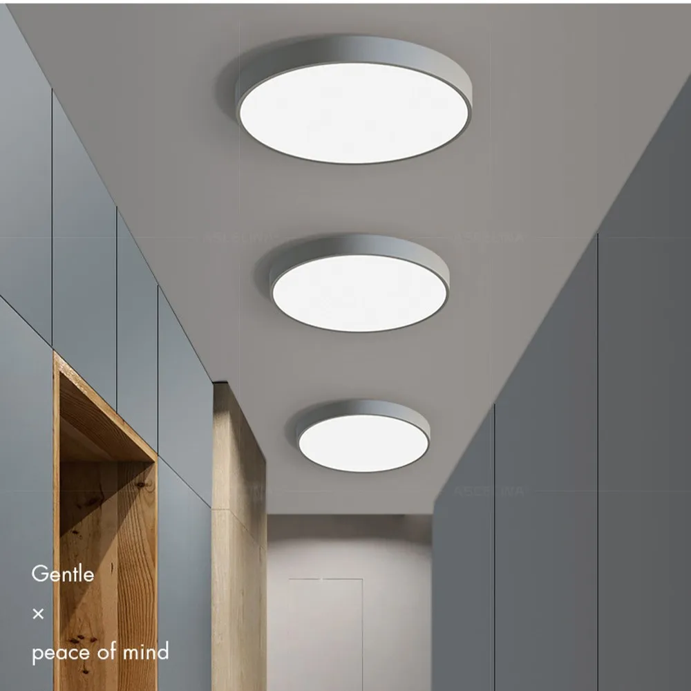 Modern Minimalist Round LED Ceiling Light 1-Light Lasson Living