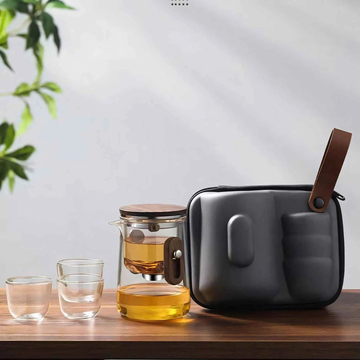 Travel Glass Tea Set | Built-In Strainer, Hard Carry Case