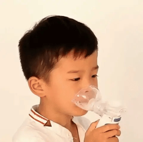 Portable Ultrasonic Nebulizer | Adjustable Airflow, 0.5-5 Micron Mist | USB Rechargeable, 25 ml Tank, Adult & Child Masks 2