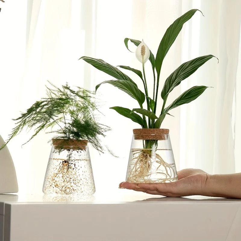 Glass Propagation Station Vase Rack | Wooden Stand for Hydroponic Plant Cuttings | Tabletop Desk Decoration Piece 3