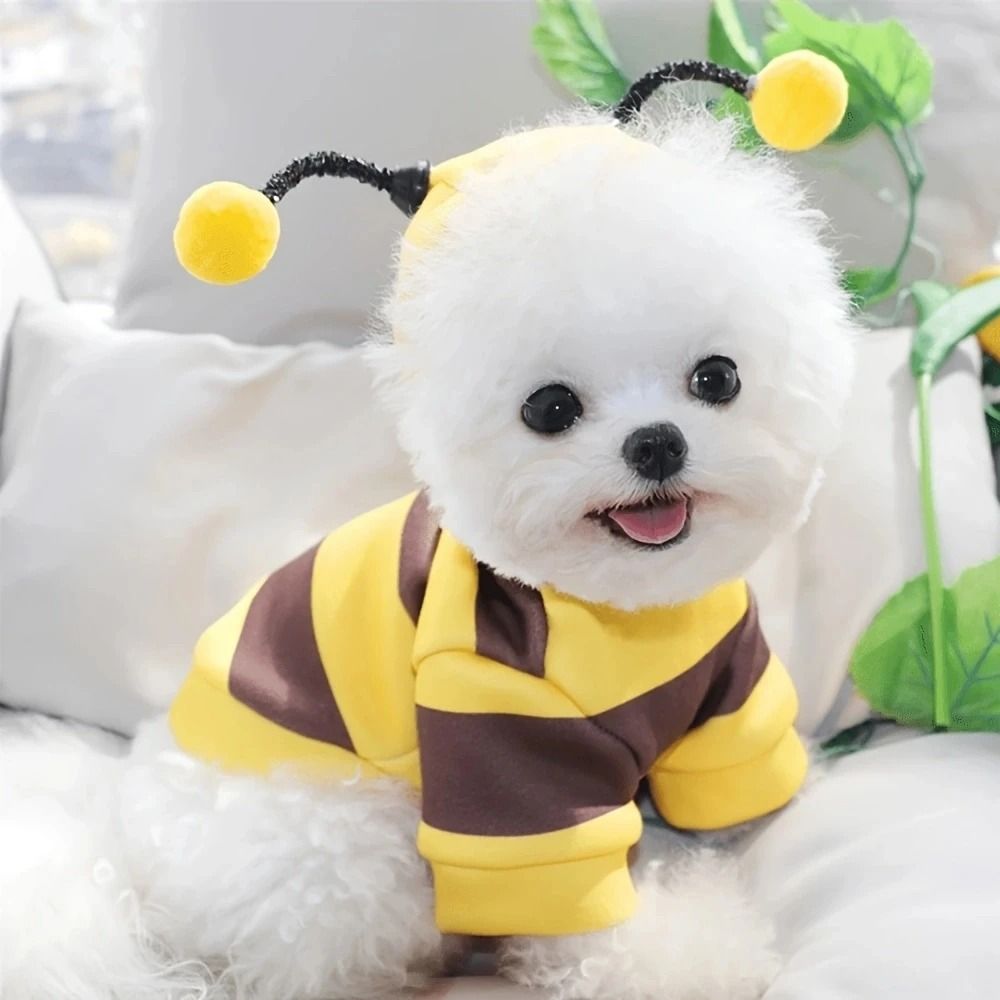 Bee-Print Fleece Hoodie for Pets | Pull-On Design with Pompom Antennas | Warm Winter Costume for Small Dogs and Cats 4