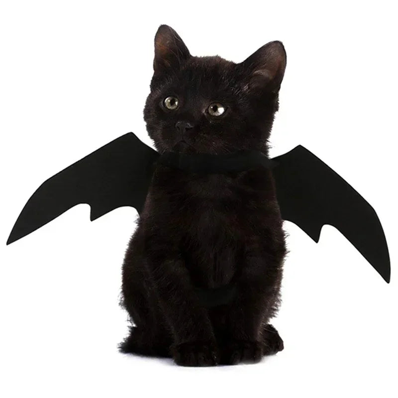 Bat Wings Pet Costume Halloween | Adjustable Velcro Straps for Cats & Dogs | Lightweight Breathable Felt Cloth Design 2