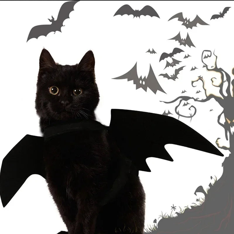 Bat Wings Pet Costume Halloween | Adjustable Velcro Straps for Cats & Dogs | Lightweight Breathable Felt Cloth Design 3