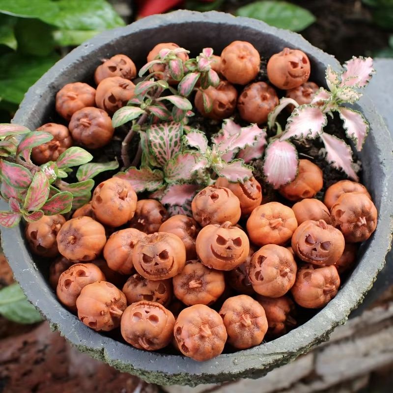 Mini Resin Pumpkins Set of 20 | Fall & Halloween Decor for Tables, Shelves & Wreaths | Reusable Resin Accent Pieces 3