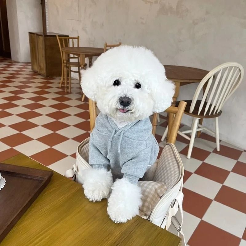 Plush Dog Hoodie | Soft Fleece Lining for Small Breeds | Warm Cosy Fit for Autumn, Winter and Early Spring Walks 1