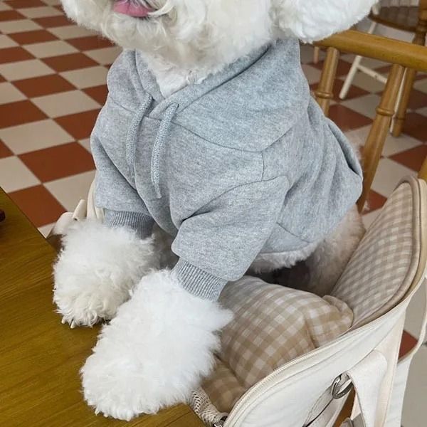 Plush Dog Hoodie | Soft Fleece Lining for Small Breeds | Warm Cosy Fit for Autumn, Winter and Early Spring Walks 6