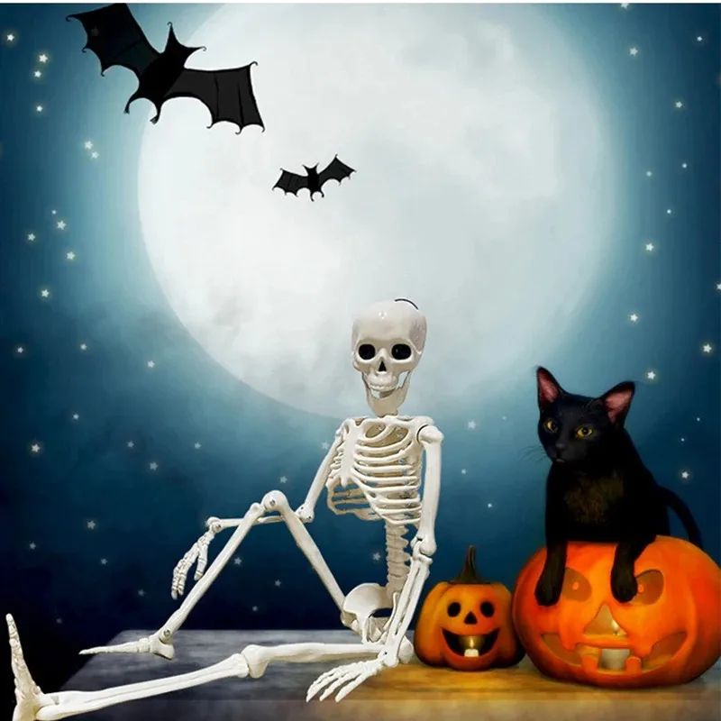 Life-Size Posable Skeleton Halloween Decoration | Full-Body Bendable Joints | Lightweight Plastic Bone Prop for Indoor & Outdoor 3