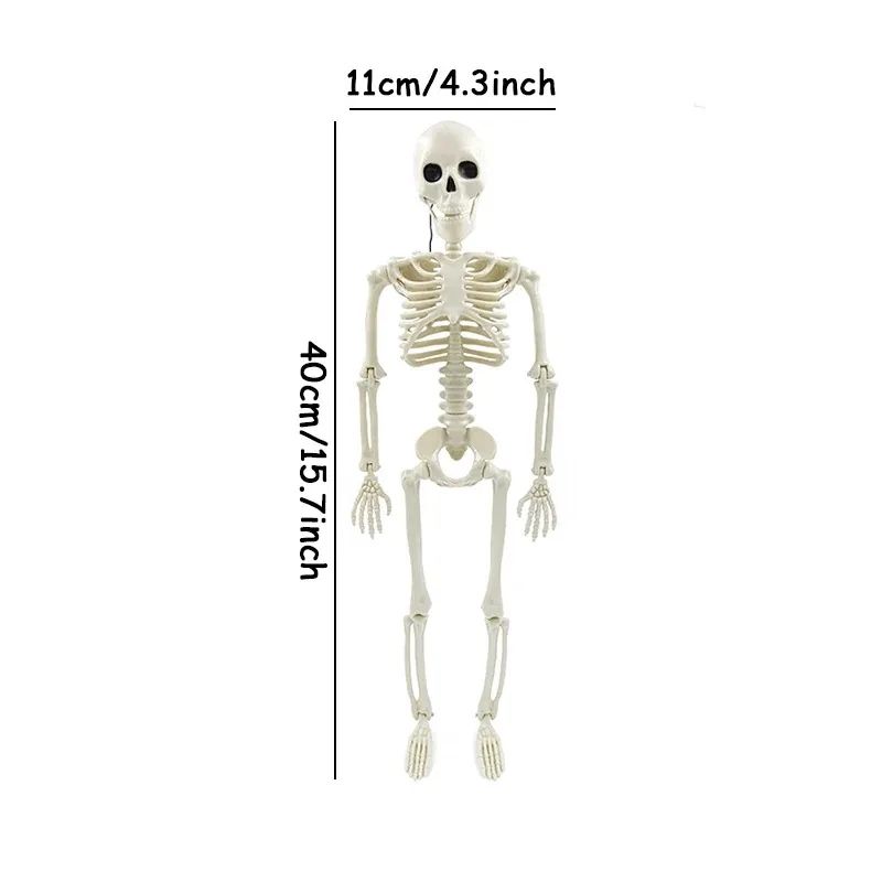 Life-Size Posable Skeleton Halloween Decoration | Full-Body Bendable Joints | Lightweight Plastic Bone Prop for Indoor & Outdoor 6