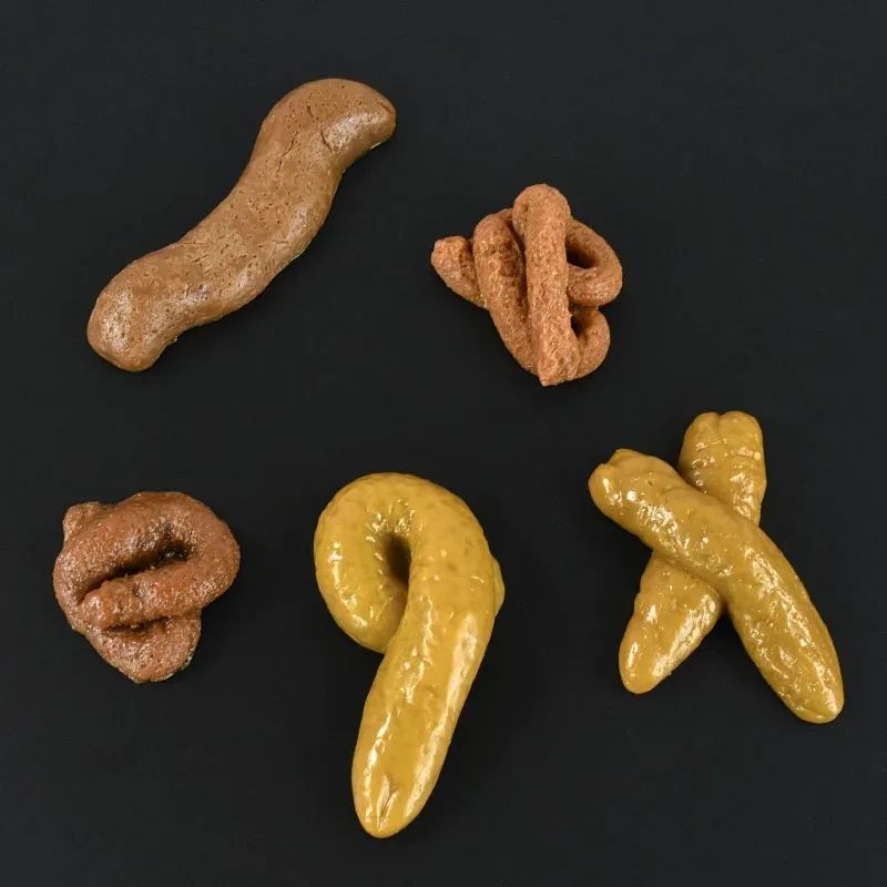 Fake Poop Prank Toy for April Fools, Halloween & Parties | Soft Squishy Plastic Prop, Reusable | Realistic Gag Gift 2