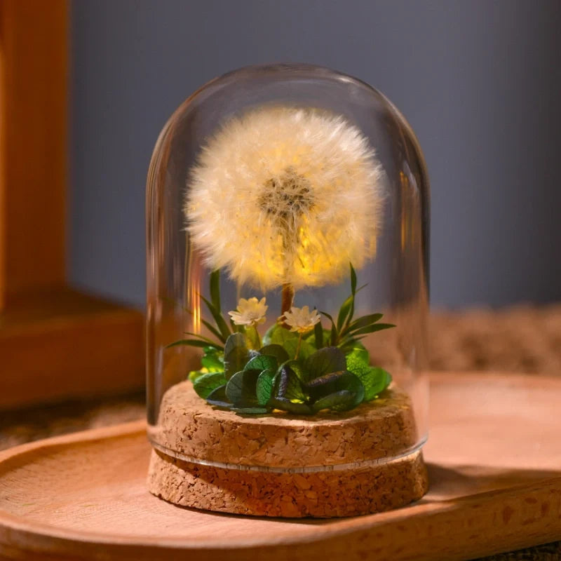 Preserved Flower Glass Dome Night Light | Dried Rose, Dandelion or Poppy-Pinecone Design | Warm White Ambient Glow 3
