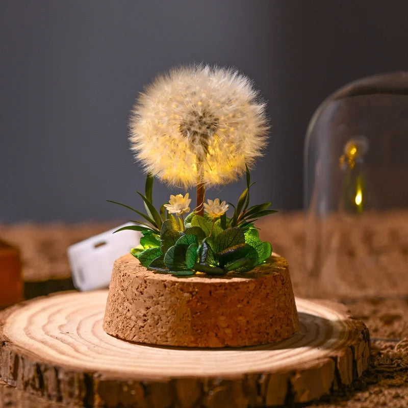 Preserved Flower Glass Dome Night Light | Dried Rose, Dandelion or Poppy-Pinecone Design | Warm White Ambient Glow 8