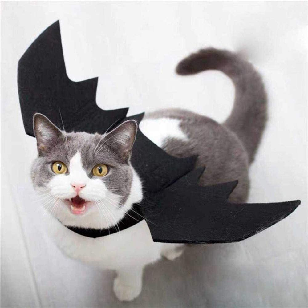 Bat Wings Pet Costume for Halloween | Adjustable Strap, Velcro Fit | Leash Buckle for Walks, Photo-Ready Accessory 1