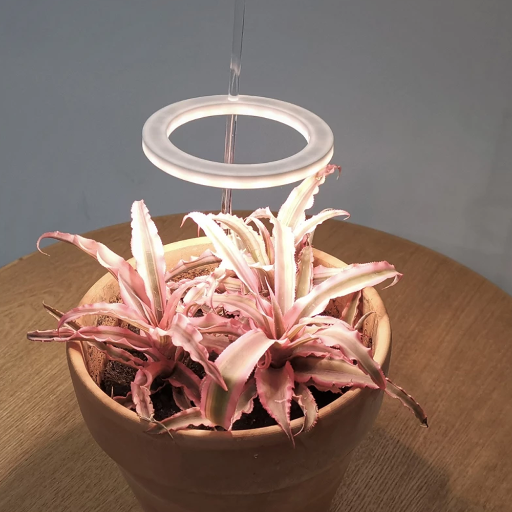 Grow Light for Indoor Plants ABS & Aluminium | 1-3 Ring Light Heads with USB Power | Low Voltage Sun-Yellow Spectrum 1
