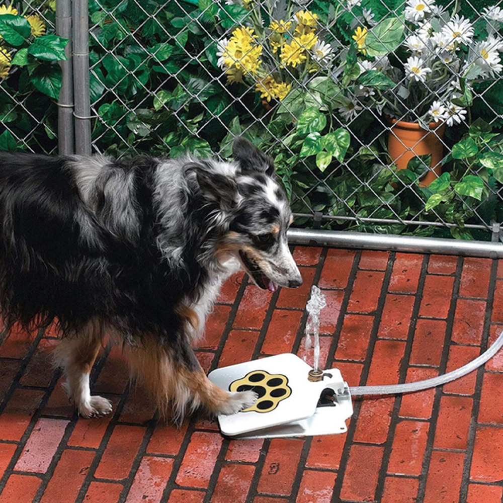 Dog Water Fountain Paw-Activated | Hose Connect Outdoor Sprinkler | Water-Saving, No Electricity, Safe Garden Design 1