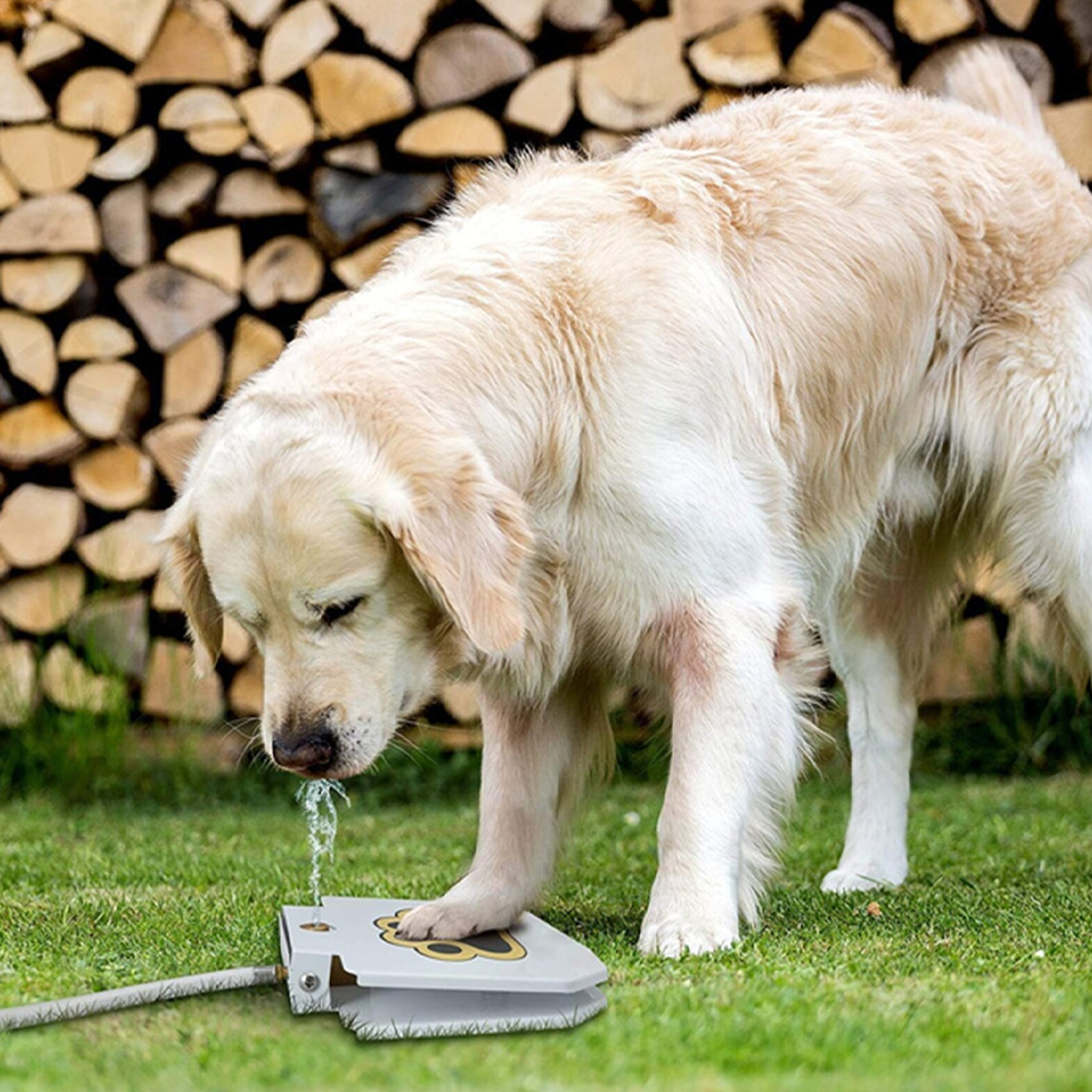 Dog Water Fountain Paw-Activated | Hose Connect Outdoor Sprinkler | Water-Saving, No Electricity, Safe Garden Design 3