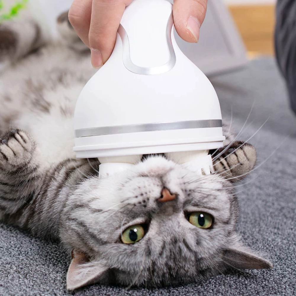 Cordless Pet Massager for Dogs and Cats | Interchangeable Massage Heads | Soothes Muscles, Boosts Circulation Daily 3
