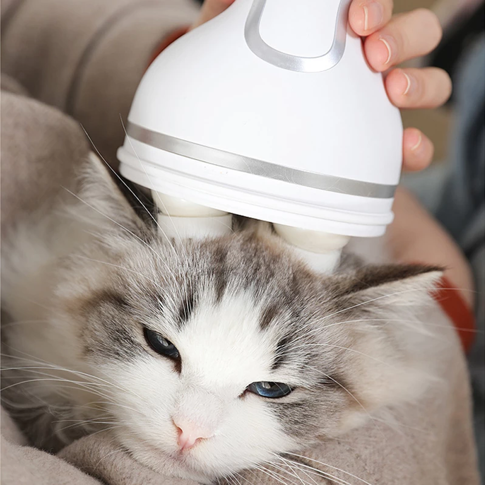 Cordless Pet Massager for Dogs and Cats | Interchangeable Massage Heads | Soothes Muscles, Boosts Circulation Daily 4