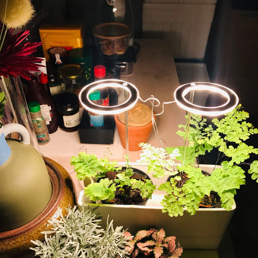 Grow Light for Indoor Plants ABS & Aluminium | 1-3 Ring Light Heads with USB Power | Low Voltage Sun-Yellow Spectrum 3