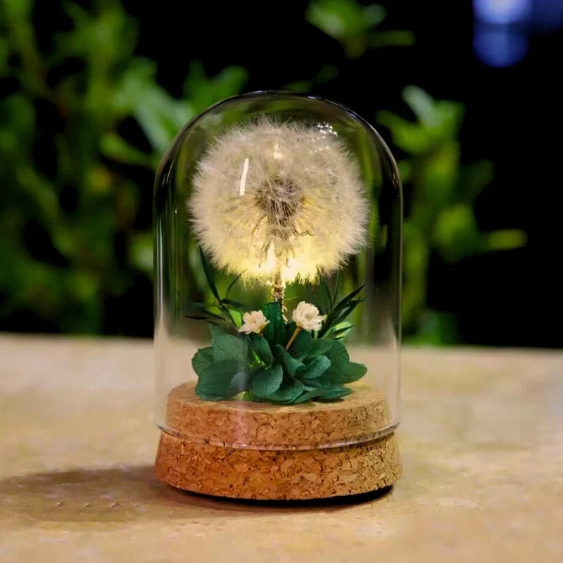Preserved Flower Glass Dome Night Light | Dried Rose, Dandelion or Poppy-Pinecone Design | Warm White Ambient Glow 13