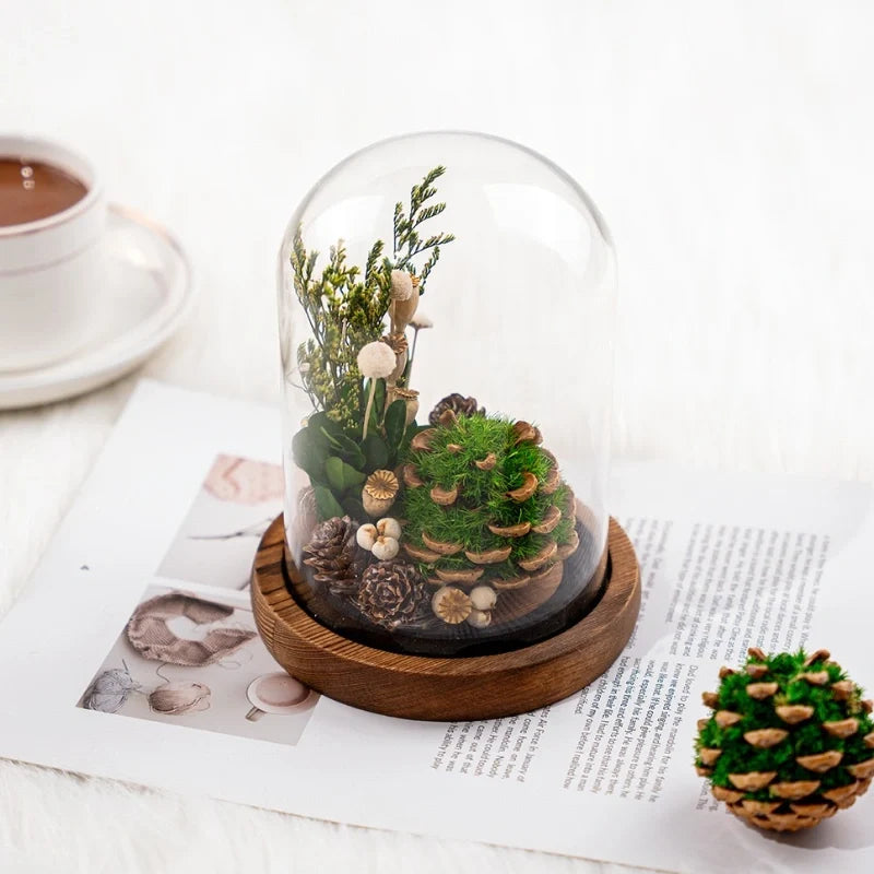 Preserved Flower Glass Dome Night Light | Dried Rose, Dandelion or Poppy-Pinecone Design | Warm White Ambient Glow 2