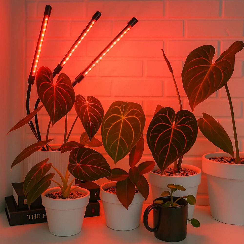 LED Grow Light with Flexible Gooseneck | Full-Spectrum Red, Blue & Mixed Light | Built-In Timer & Dimmer, 1 to 4 Heads 1