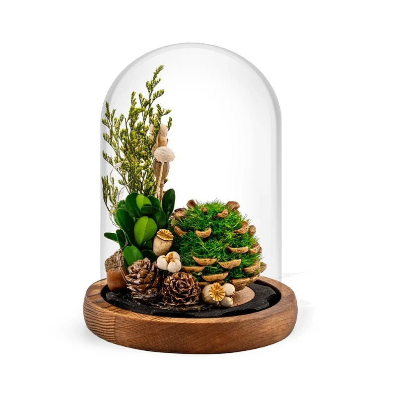 Preserved Flower Glass Dome Night Light | Dried Rose, Dandelion or Poppy-Pinecone Design | Warm White Ambient Glow 14