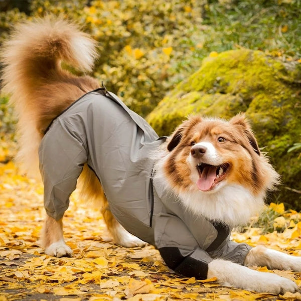 Dog Rain Coat with Legs, Waterproof Polyester | 5 Sizes Pug to Mastiff | Reflective All-Weather Protection & UV Safety 4