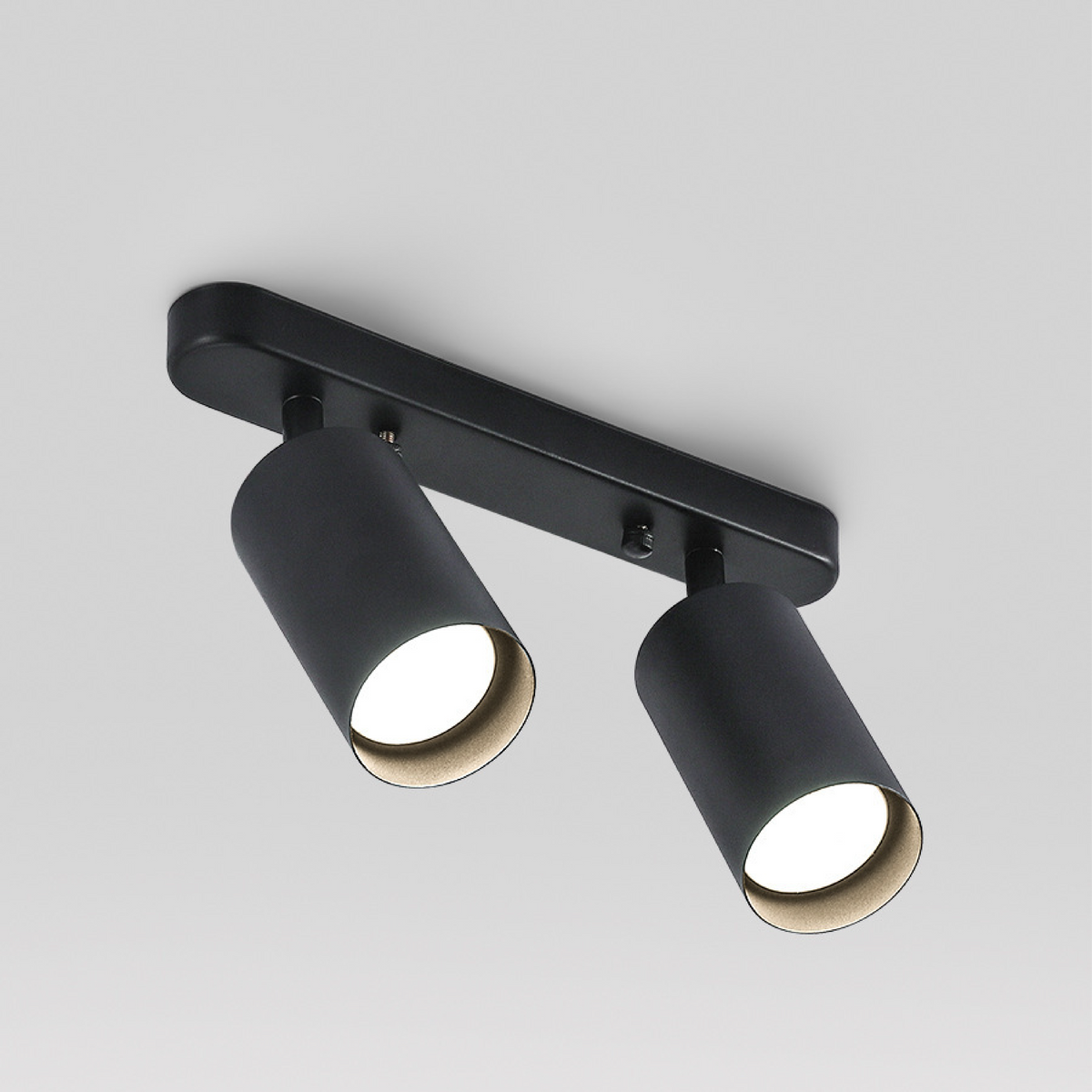 Adjustable Dual-Head Ceiling Spotlight 4