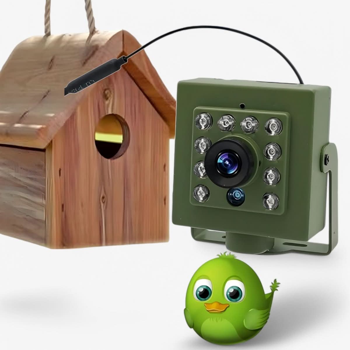 Bird Nest Camera with WiFi | 1080p HD Night Vision, IP66 Weatherproof | Motion Alerts, MicroSD & Live Streaming