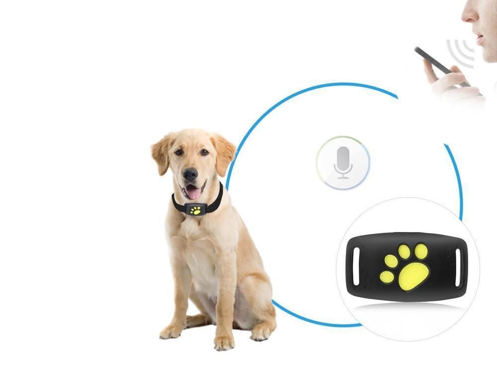 Cat GPS Tracker | Finder Tag For Indoor Cats